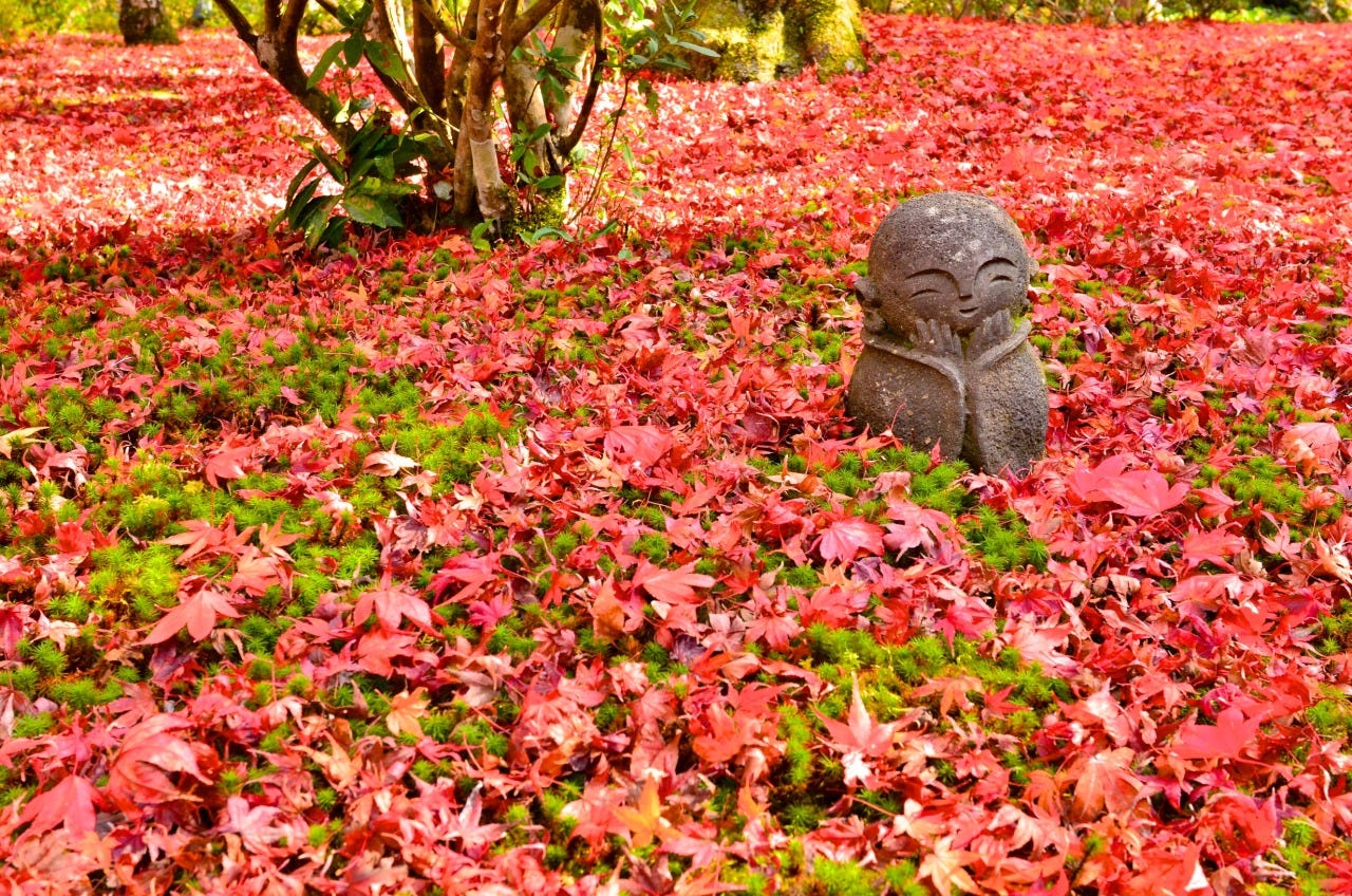 Autumn in Japan : 10 Best Things to Do in 2018 – Japan Travel Guide -JW