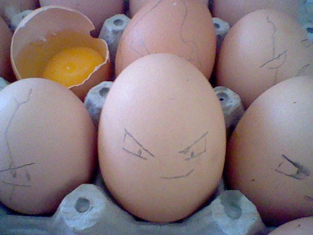 Who remember eggsecute?
