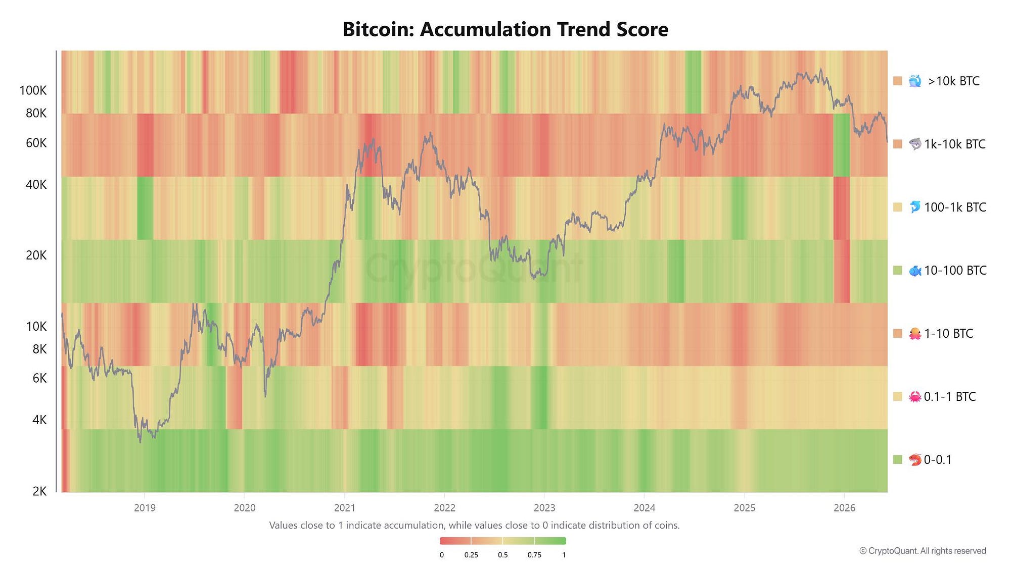 Bitcoin’s Strongest Accumulation Signal Yet? Smart Money Keeps Buying Despite the Fear