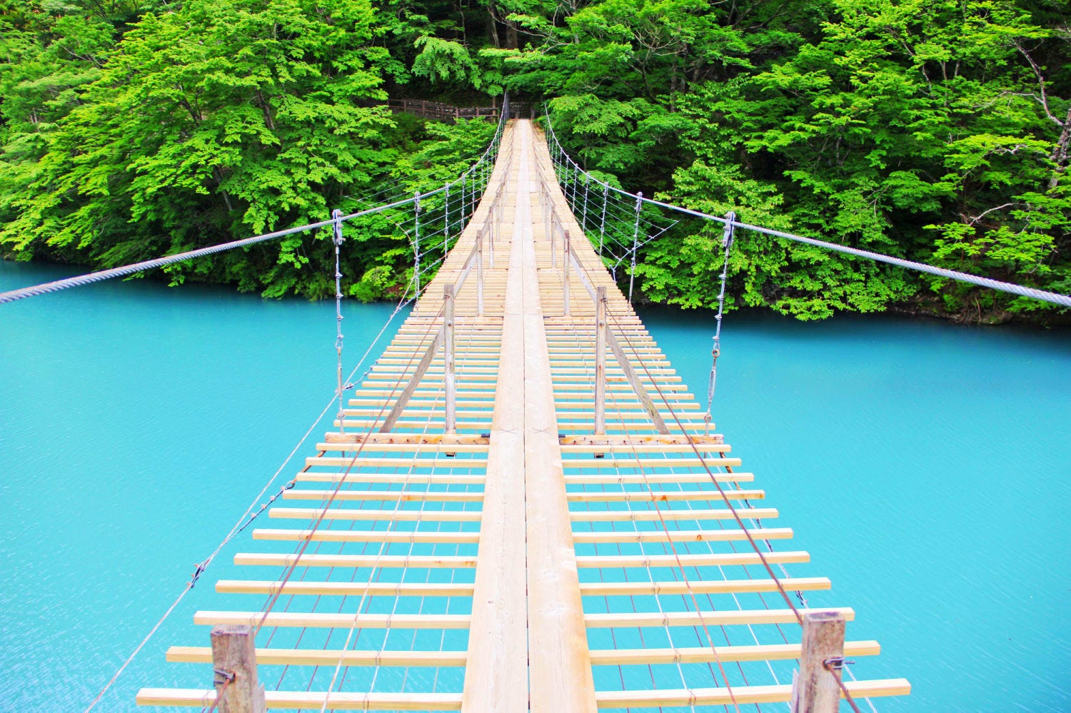 Sumatakyo the Dream Suspension Bridge JW  Magazine