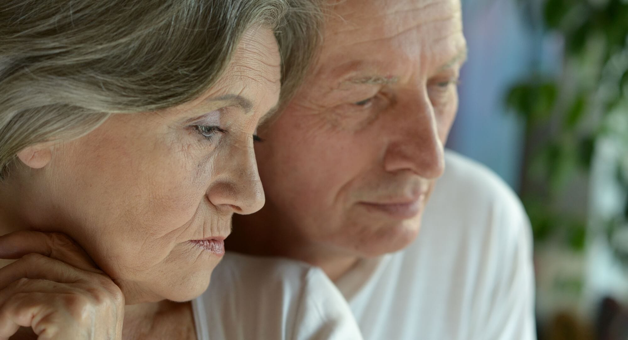Stilwellinvestings.com: The “Professor” and the “Whale Program” That Cost a Texas Retiree $270,000