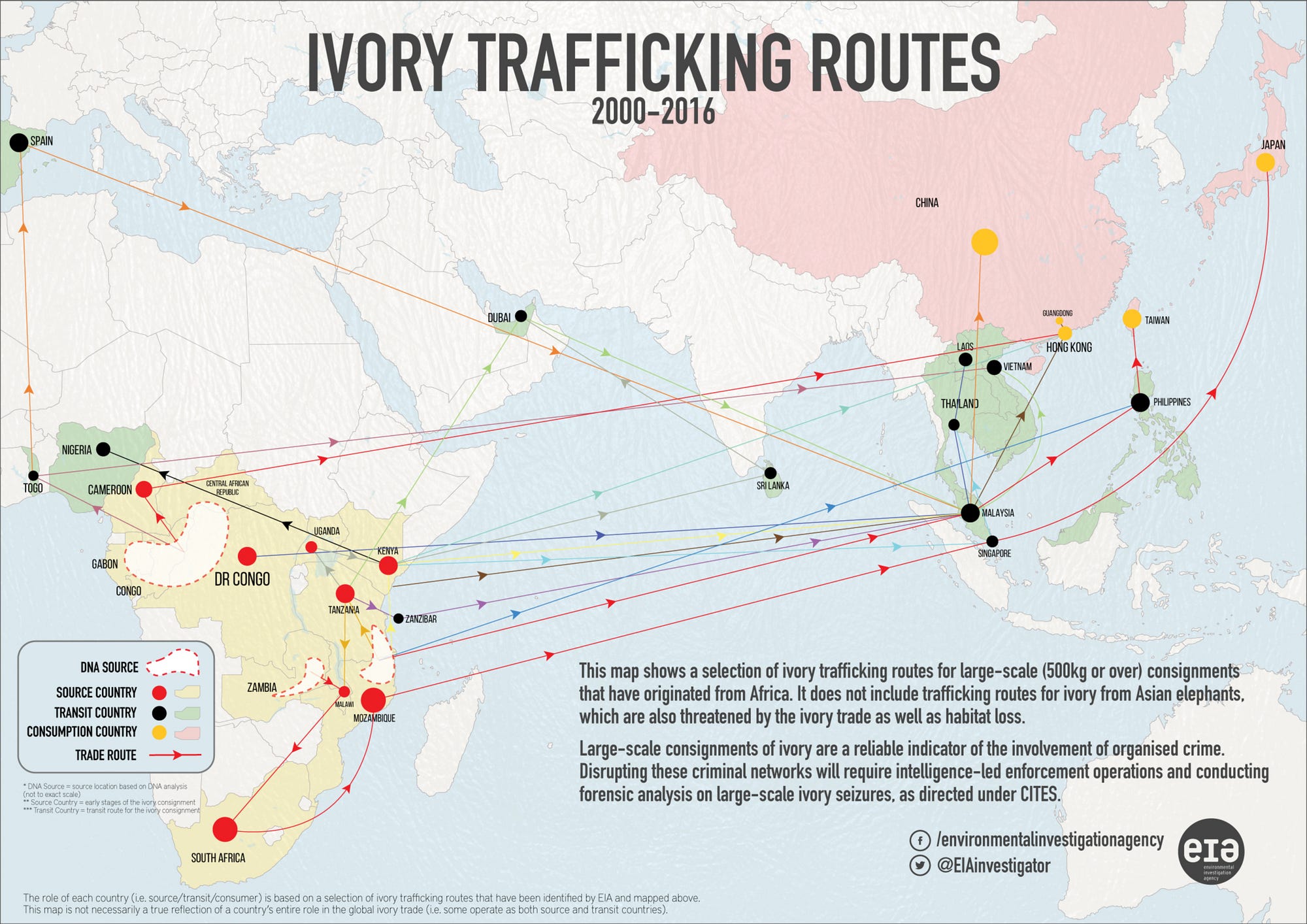 Everything You Ever Wanted To Know About The Illegal Ivory Trade As   0*vnvjuMfNMm92jizC 