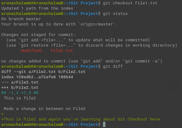Git Checkout a File