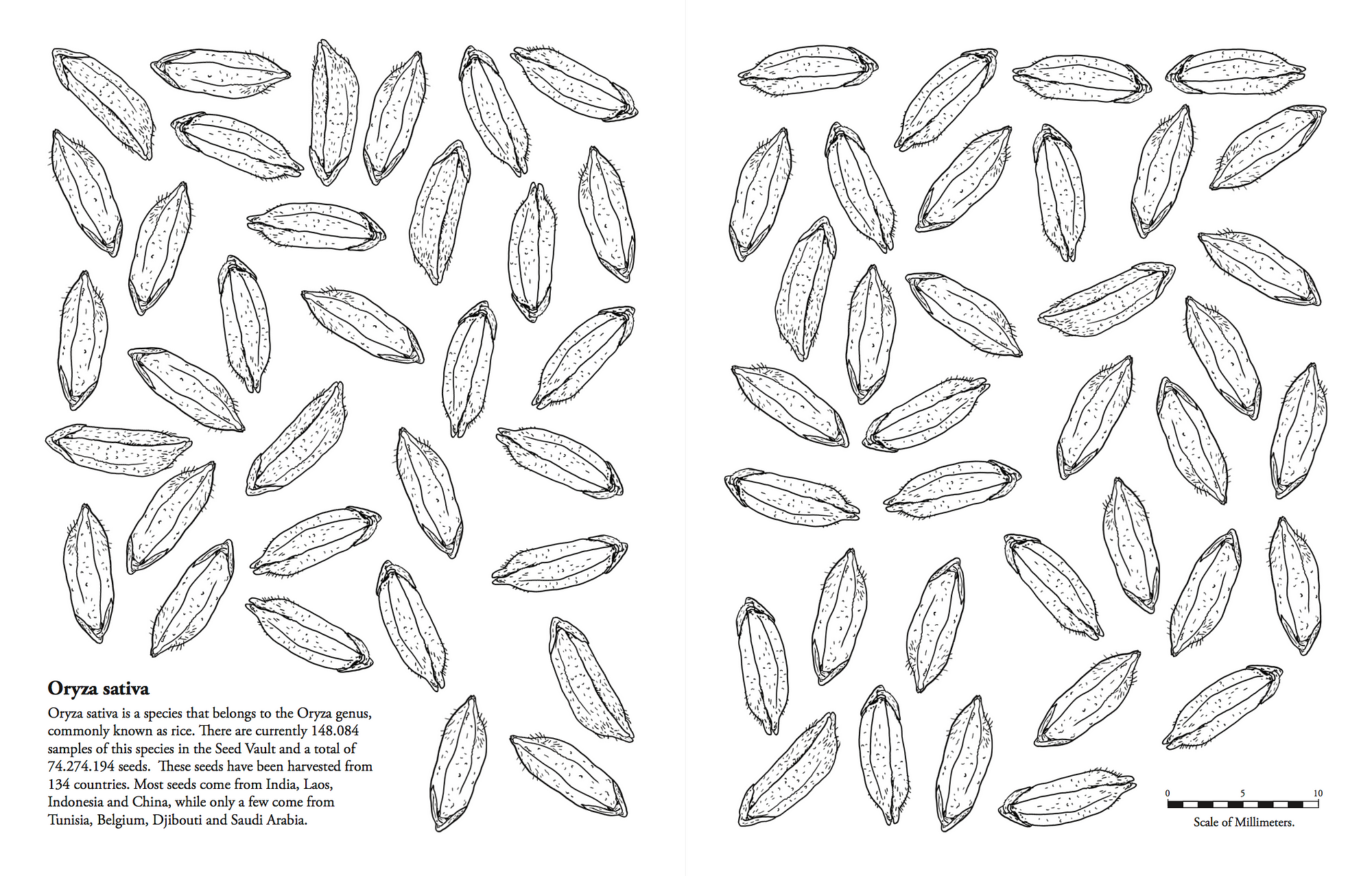 Seed Vault colouring book Explorations of the Seed Vault