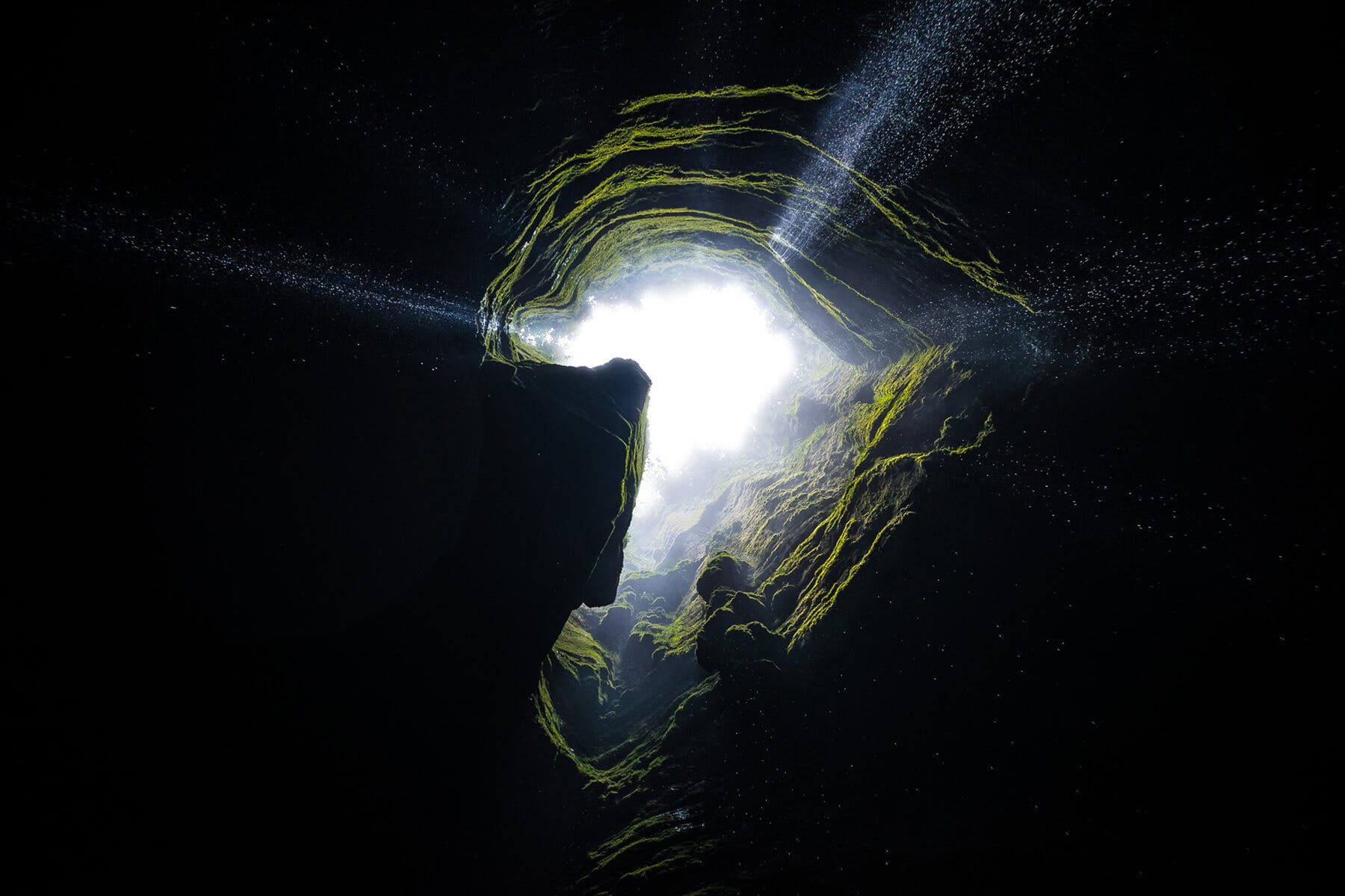 A spectacular view from a cave, home to many different and specially adapted species. Photo: Felipe Villegas.