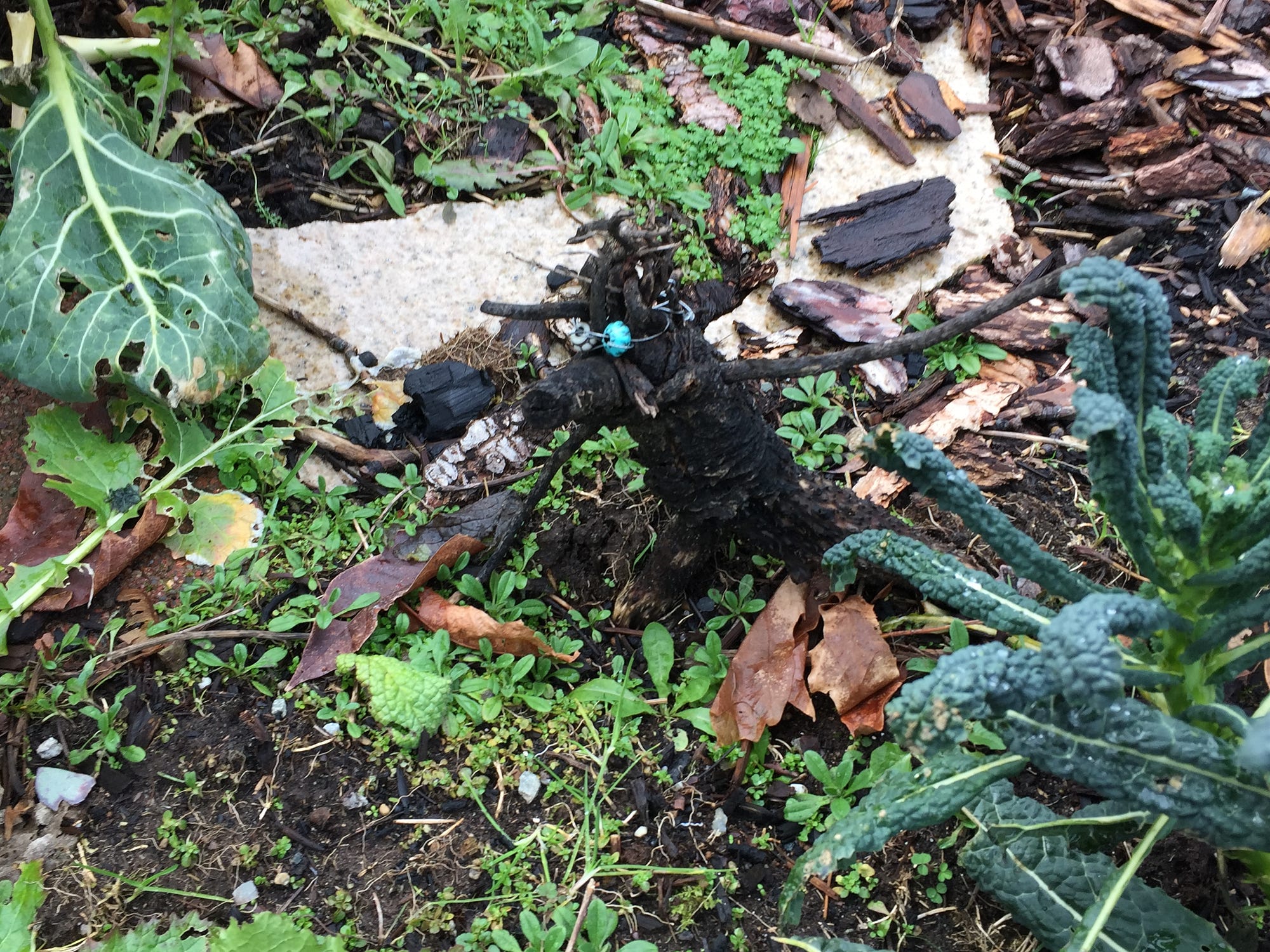 Magical Gardens: Cultivating Soil & Spirit
