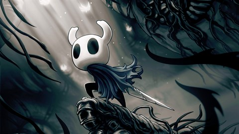 *Hollow Knight*