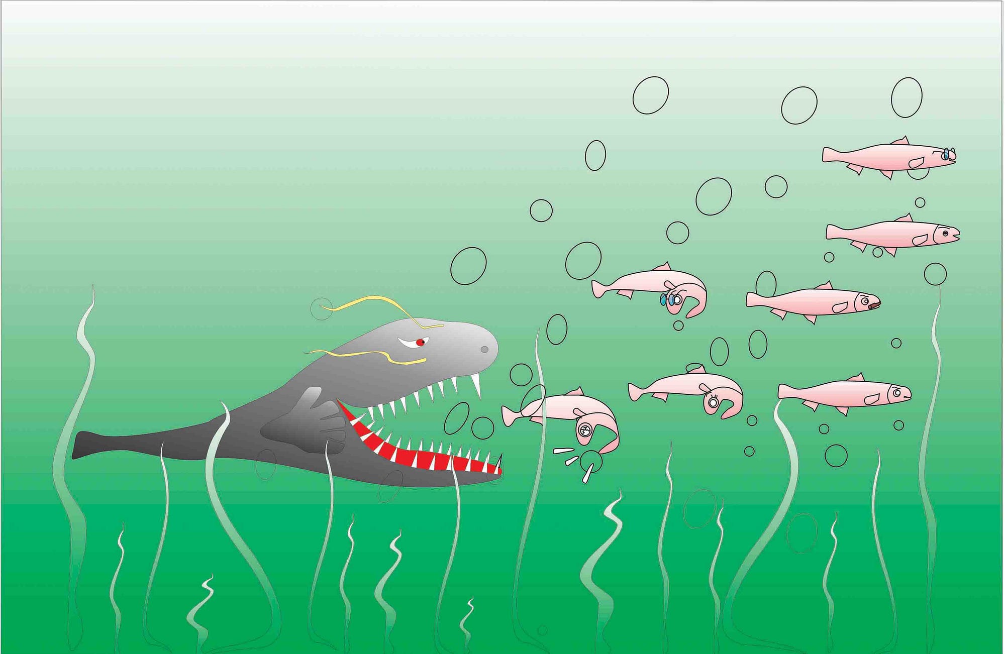 TMTpost iBooks Is To Trigger “The Catfish Effect” In The Chinese E