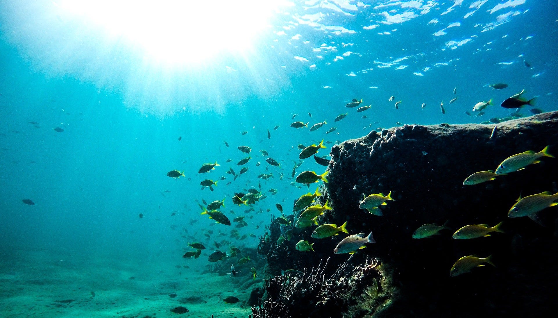 Above And Below Sea Level Diagram