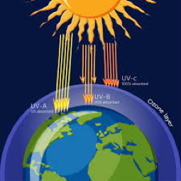 A representation of the ozone layer