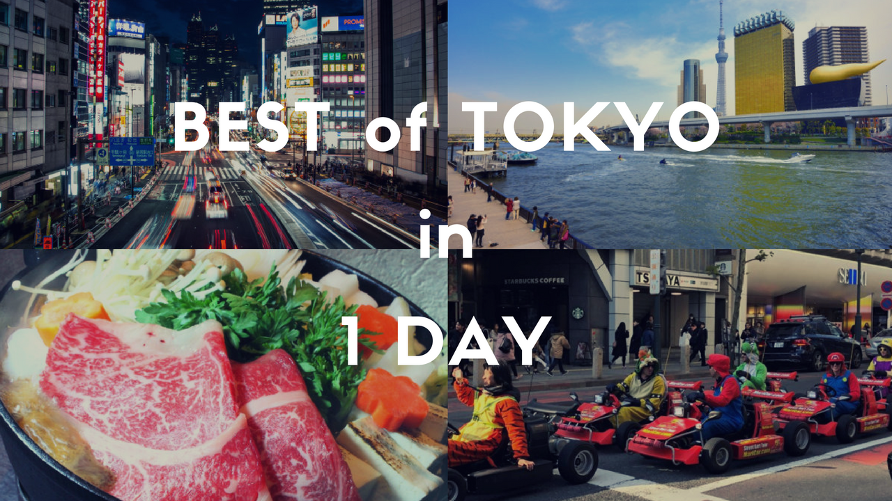 1 day tour tokyo