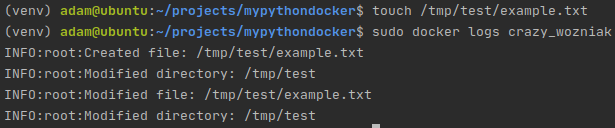 Docker logs show that the application is running properly