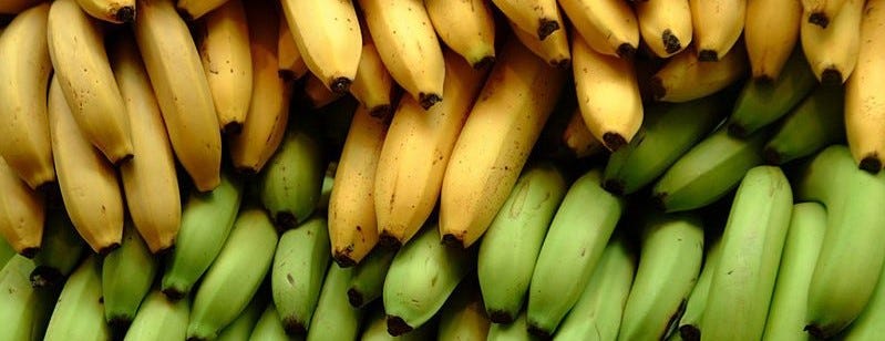 raw and mature bananas