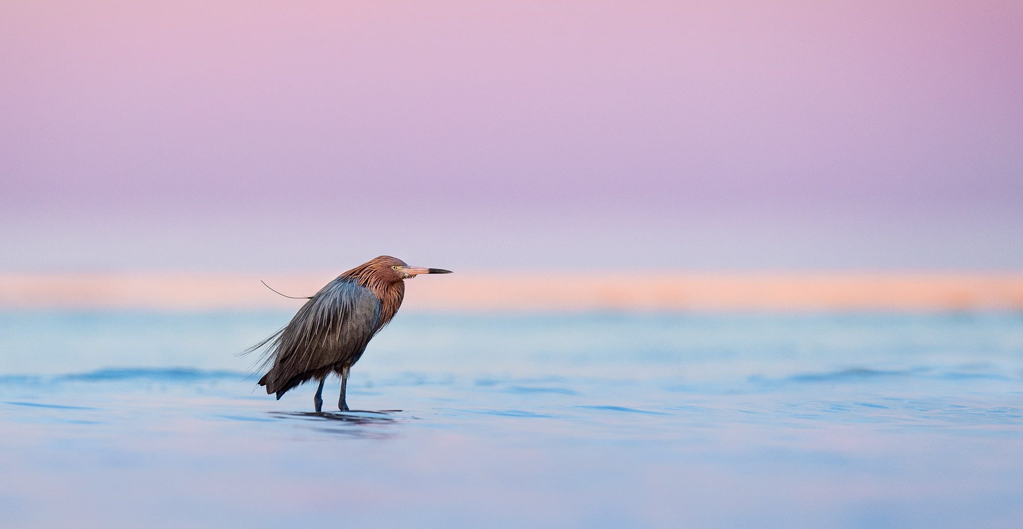 Bunche Beach Preserve Vantage Medium My Good Friend And Bird Photographer Scott Keys Had Told Me I Must Visit Bunche Beach While Was In Florida So Ended Up Making It First Main Outing