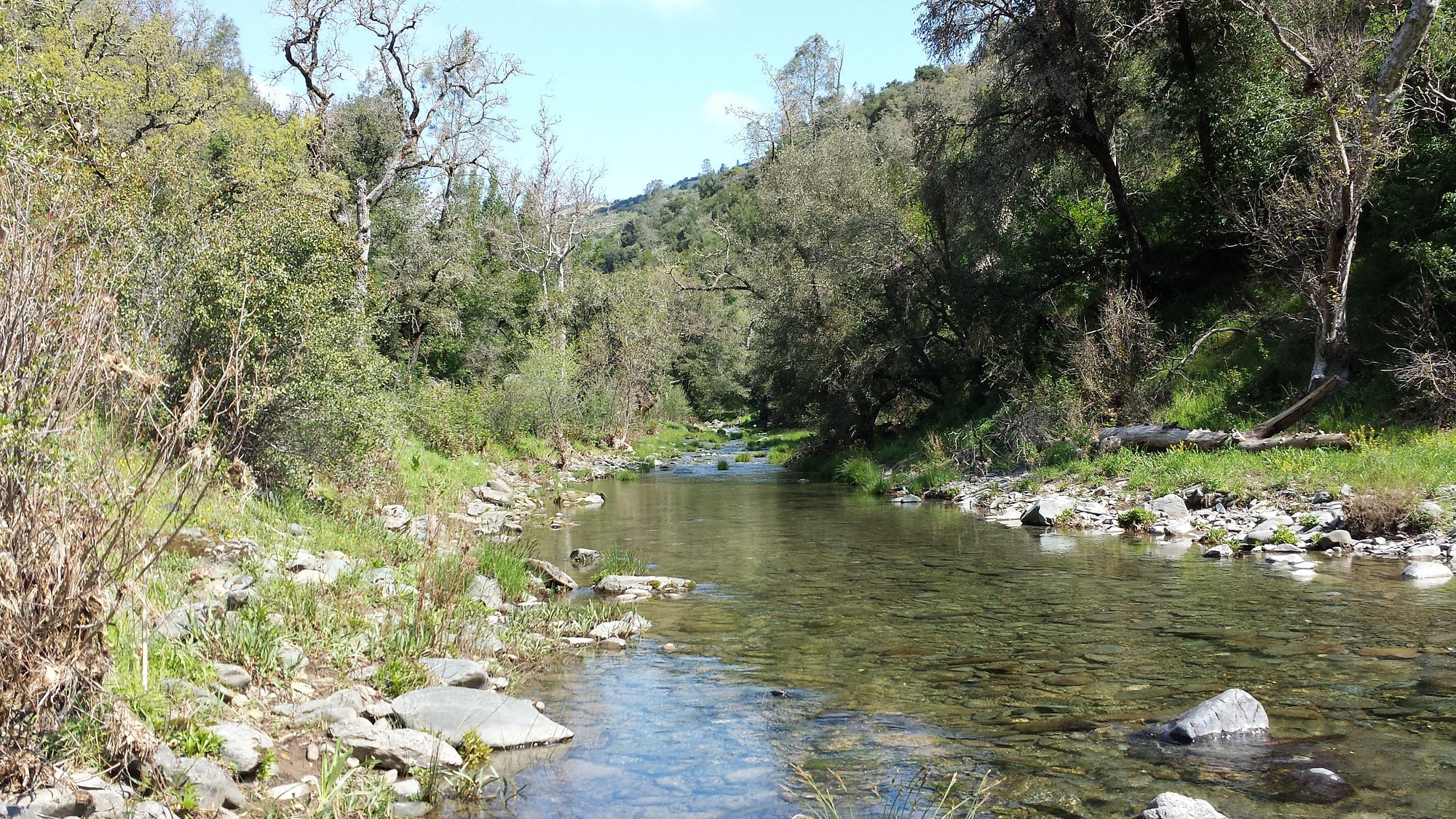 Coyote Valley: A watershed view – Protect Coyote Valley – Medium