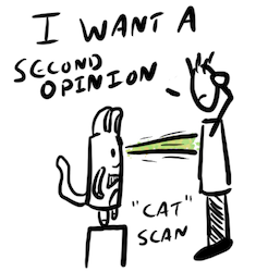Cat Scan. Illustration by Author