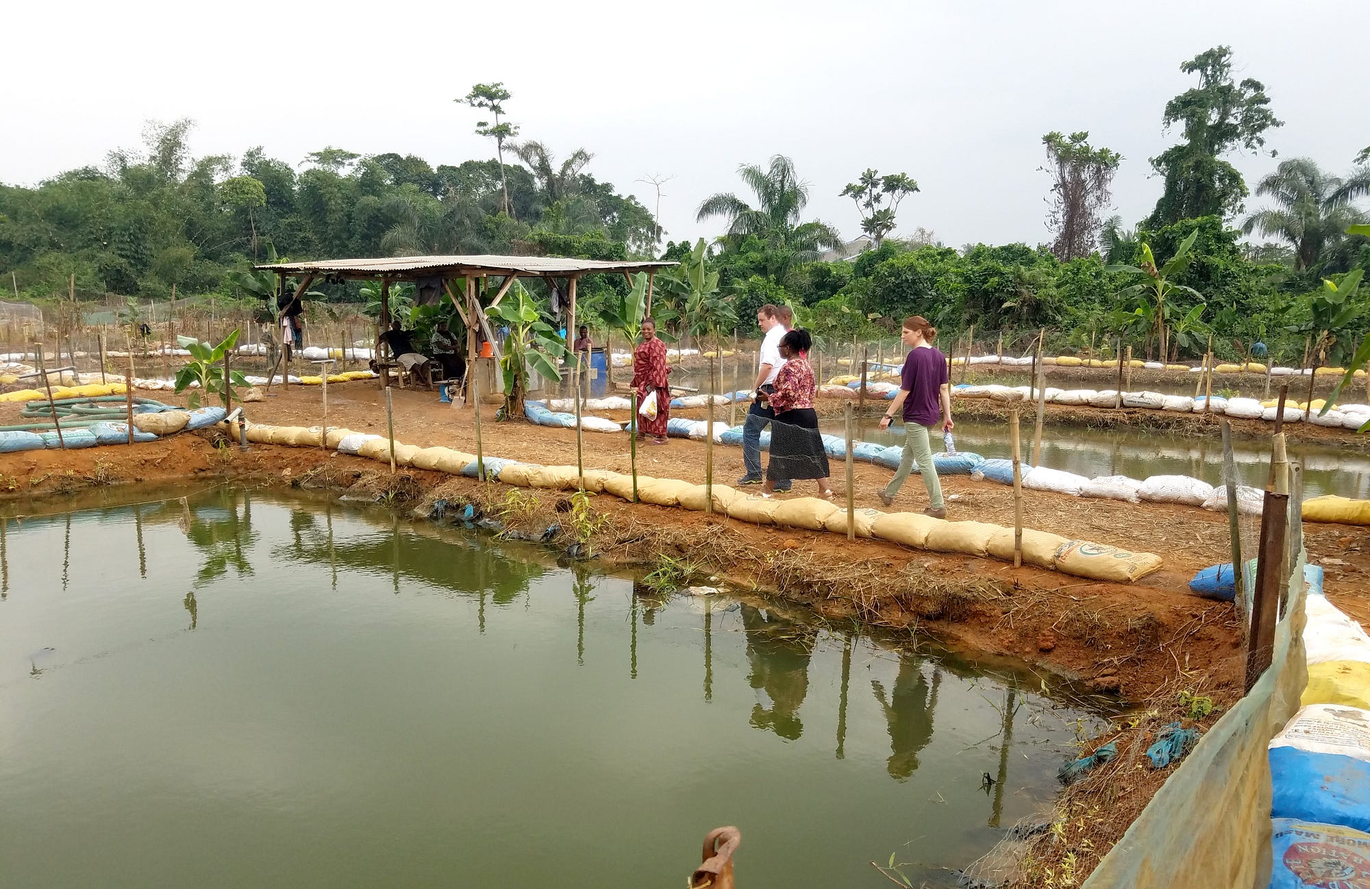 Fishing for Market Opportunities in Nigeria U.S. Mission Nigeria Medium