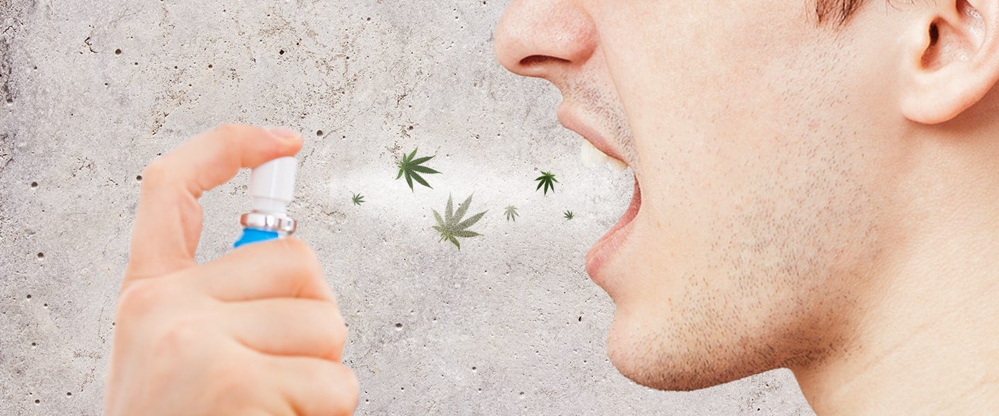 Weed Breath Spray, Reviewed MEL Magazine