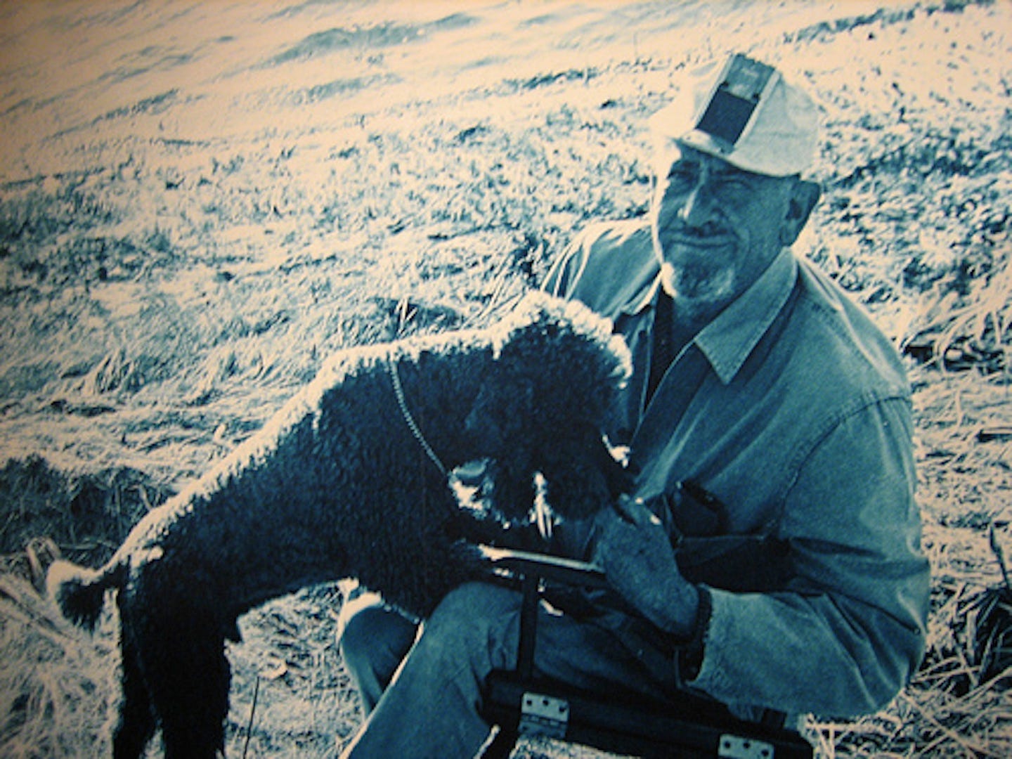La Perle John Steinbeck Résumé Par Chapitre