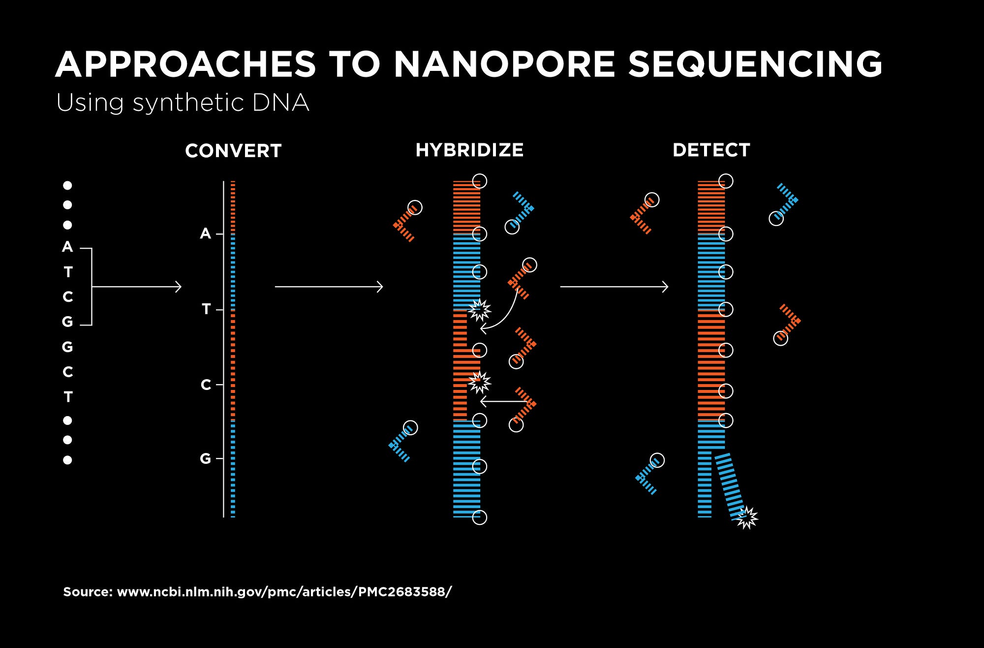 Nanopore sequencing using synthetic DNA and optical readout. Each nucleotide in the target DNA that is to be sequenced is first converted into a longer DNA ...