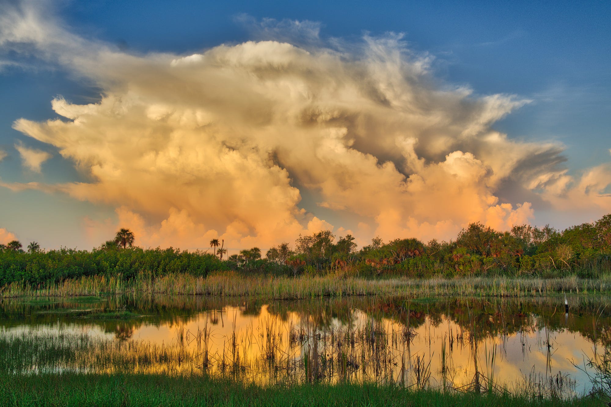 Joey Waves Fine Art  Photography  Passion For Life And 