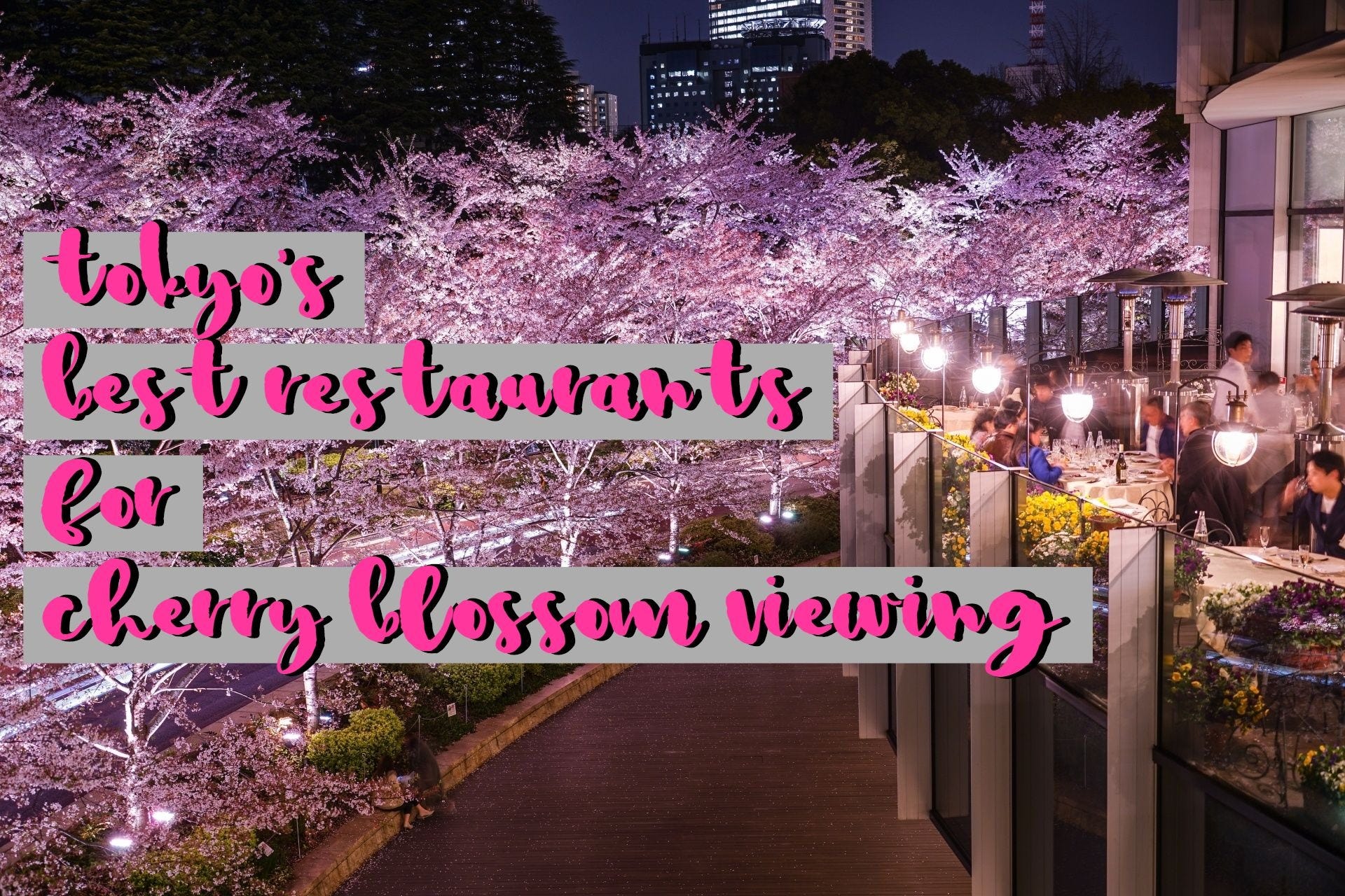 10 Best Cherry Blossom Viewing Restaurants in Tokyo