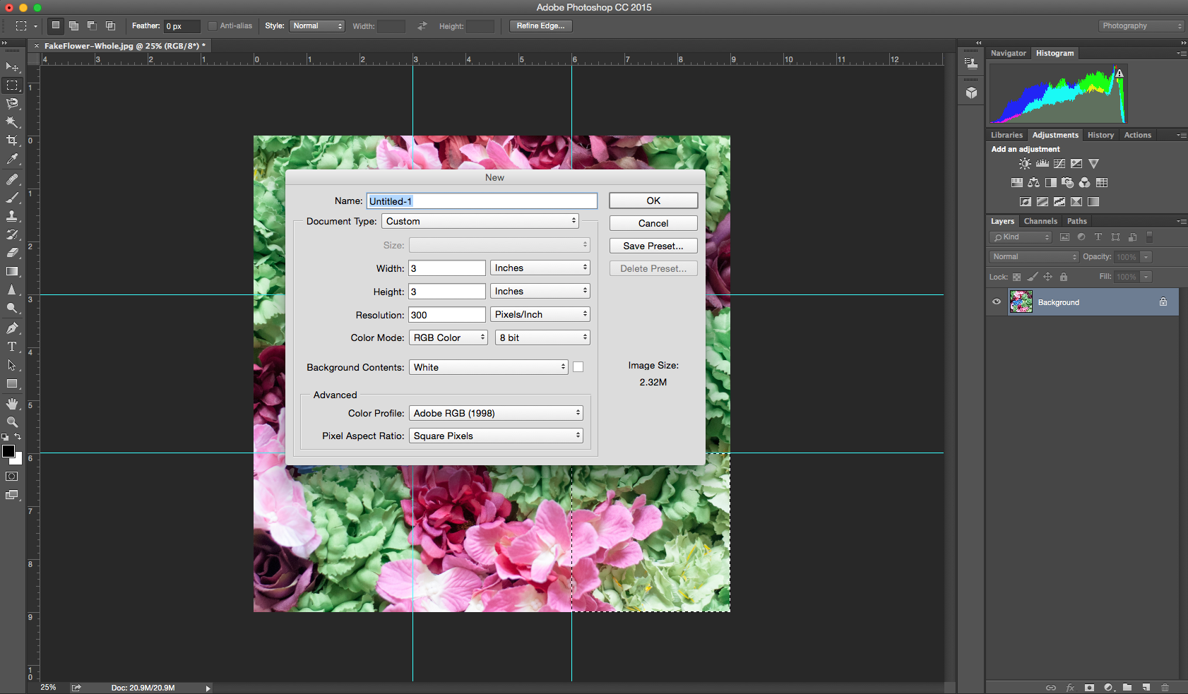 Photoshop Portable Cs3 Bagas31
