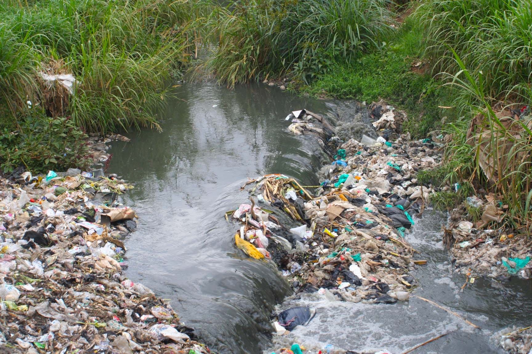 Ban Plastic Bags in Kenya Campaign James Wakibia Medium