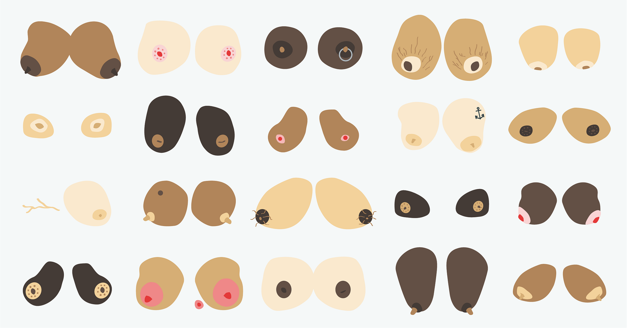 Pictures Of Different Types Of Nipples 101