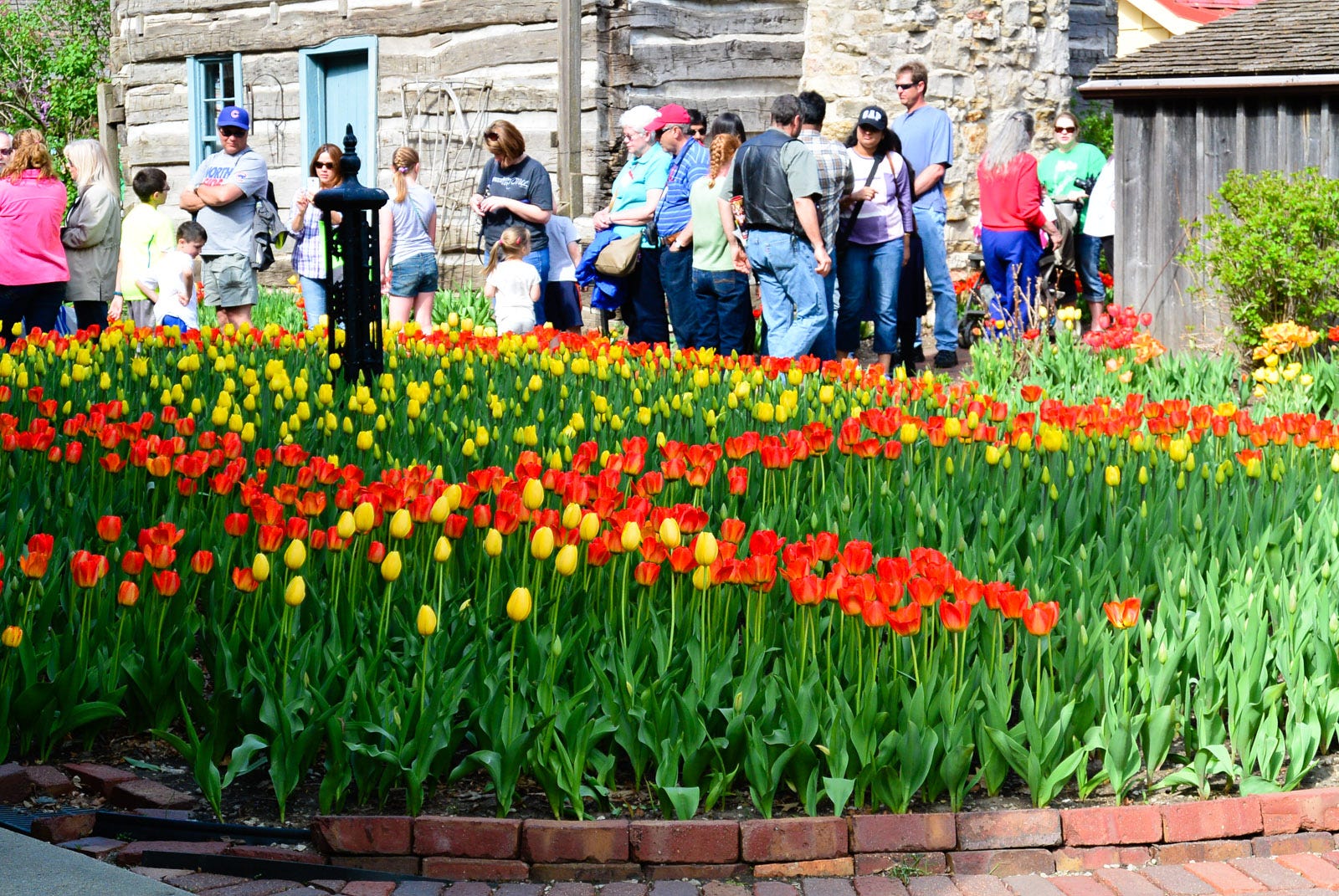 Pella Tulip Festival Travel and Experiences Medium