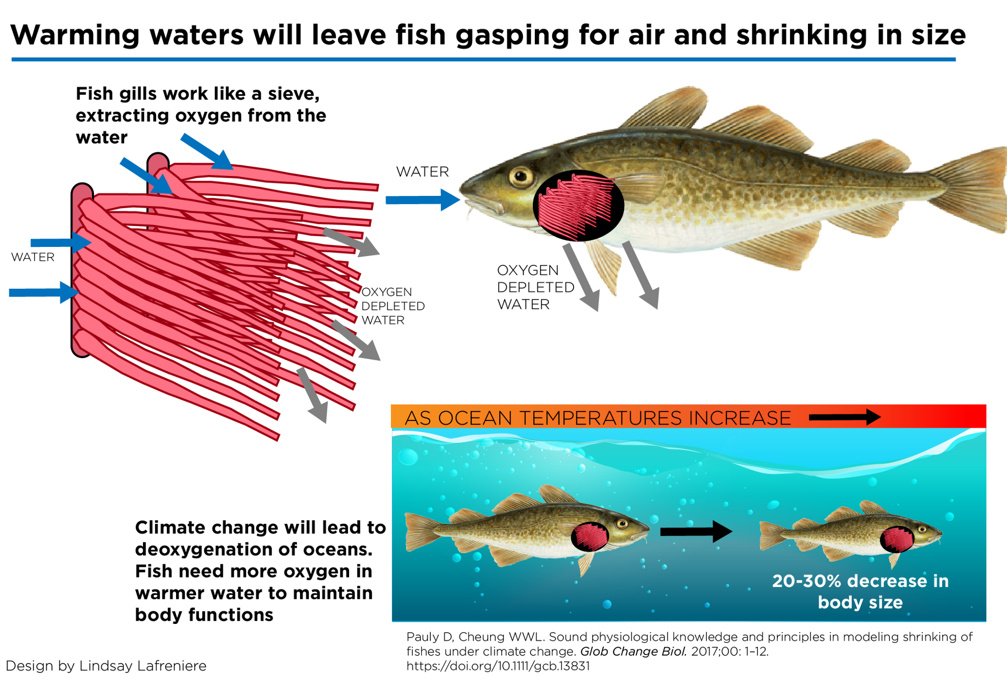 research show that some fish are sensitive