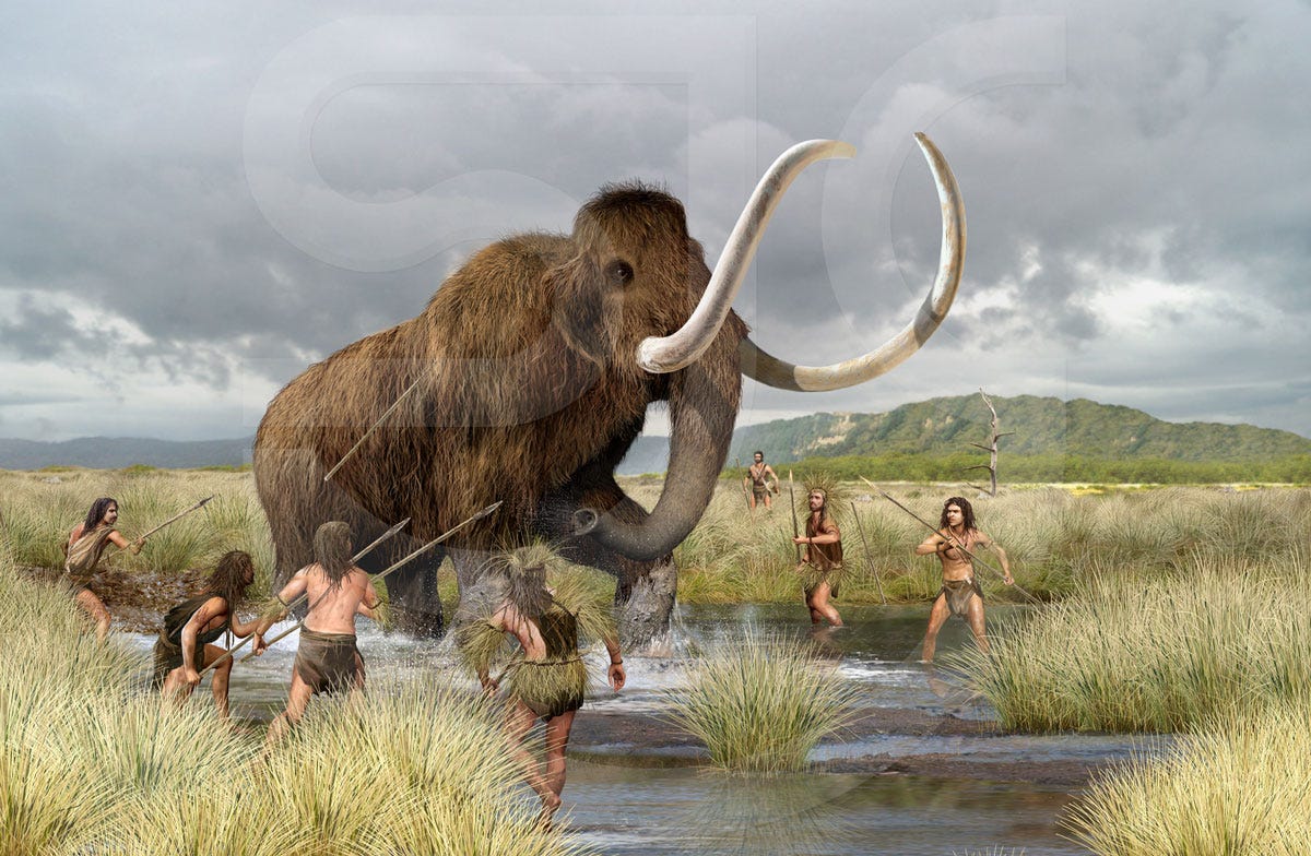 BORN TO HUNT MAMMOTHS. Aki Atkinson Medium