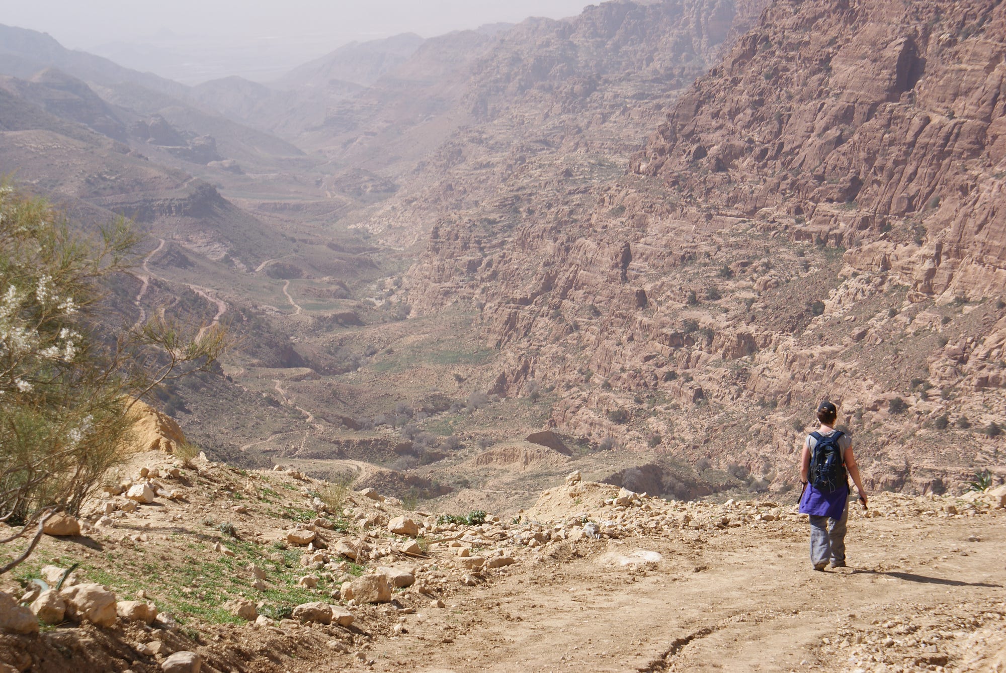 Image result for Wadi Dana Trail