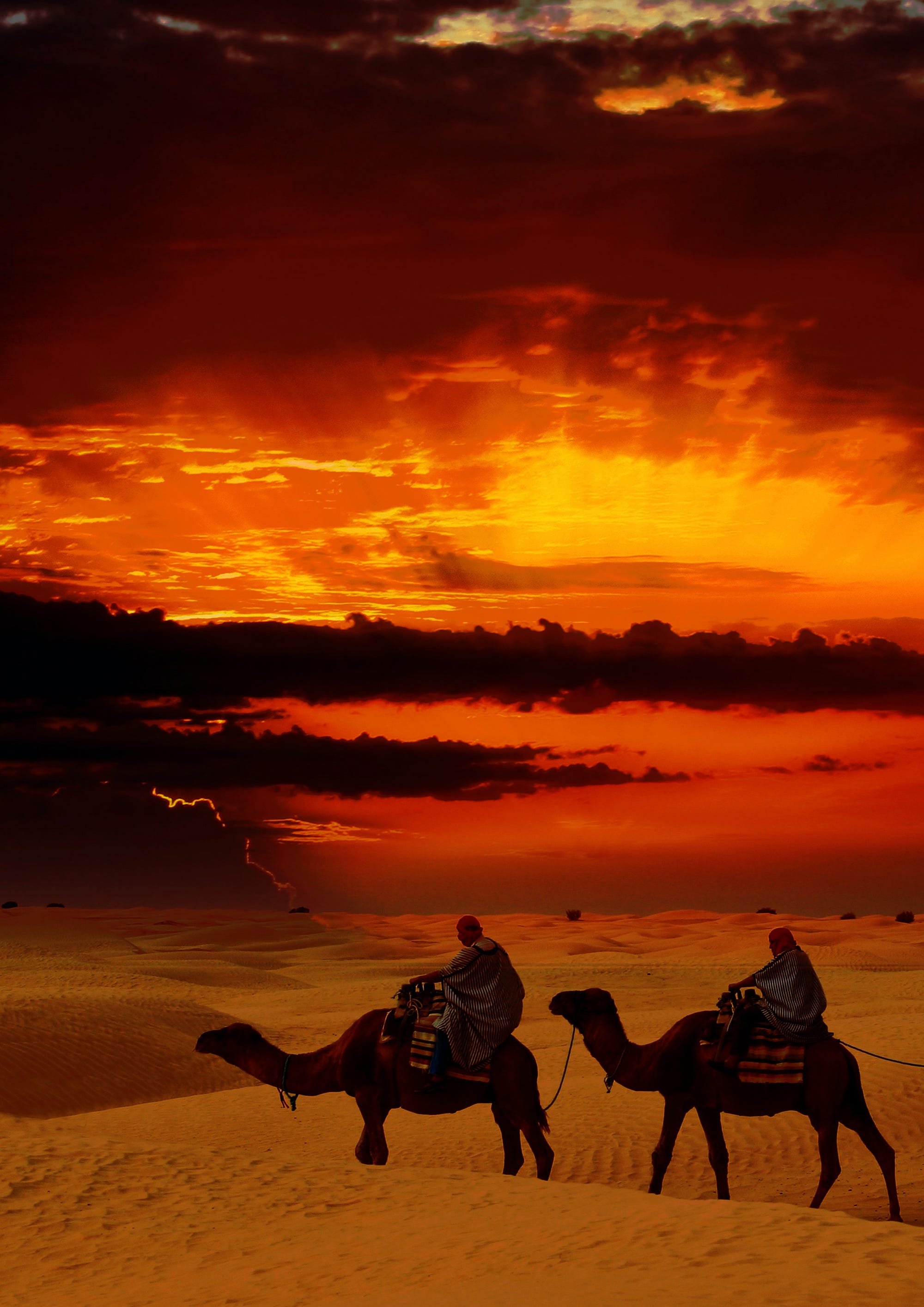 Twariq in the Sahara — from the 2013/14 catalog