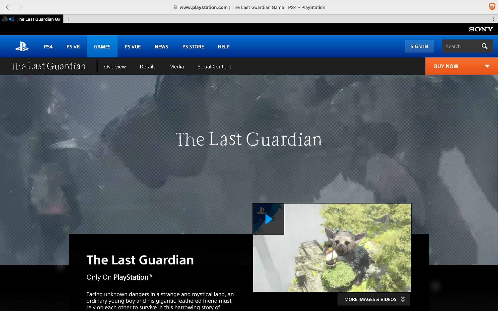 Landing Pages of Top 10 Video Games