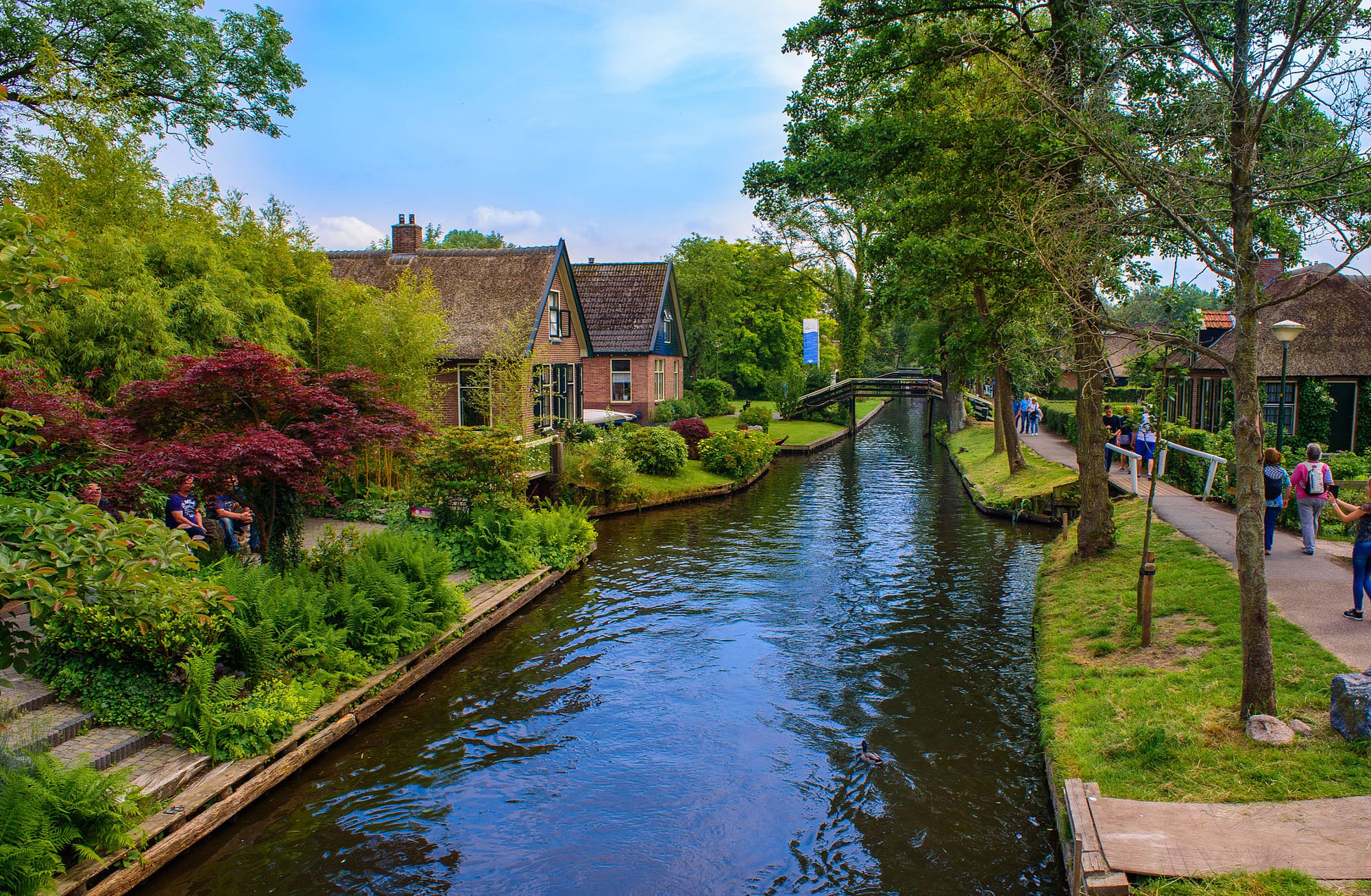 A magical town where there are no roads and ducks are the loudest sound