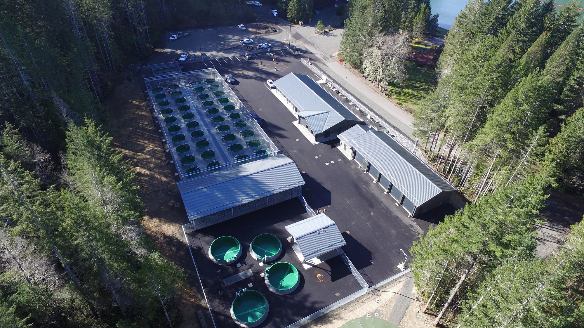 Power Spawns First UtilityOwned Fish Hatcheries in Washington State