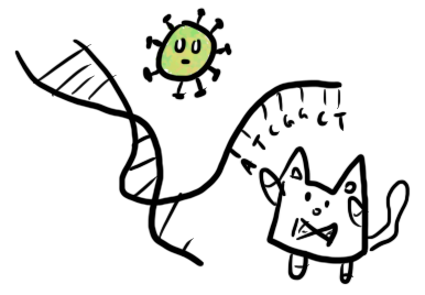 Looking at nucleotides. Illustration by Author