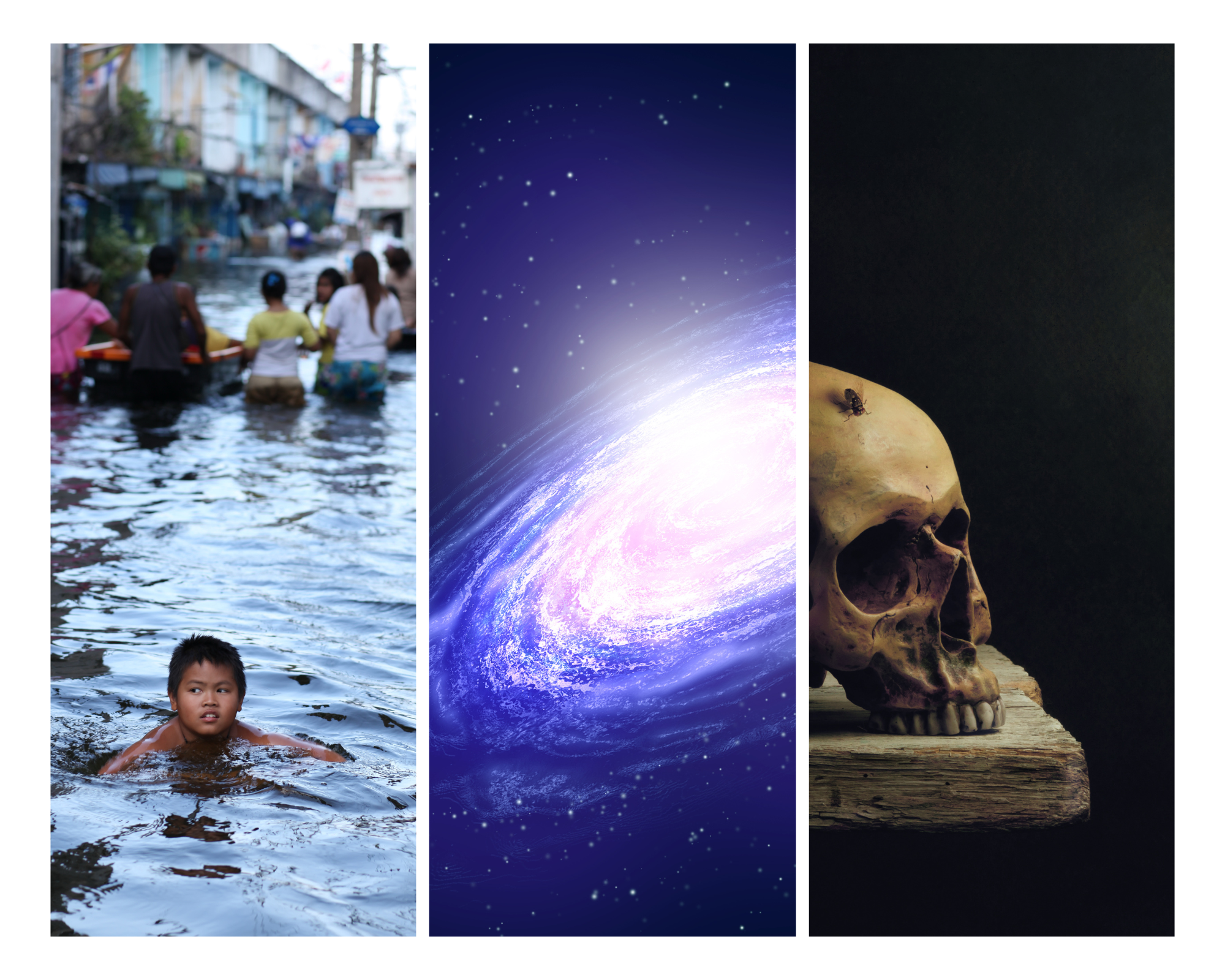 Why Space Weather and Death Are The Three Frontiers Silicon Valley Wil