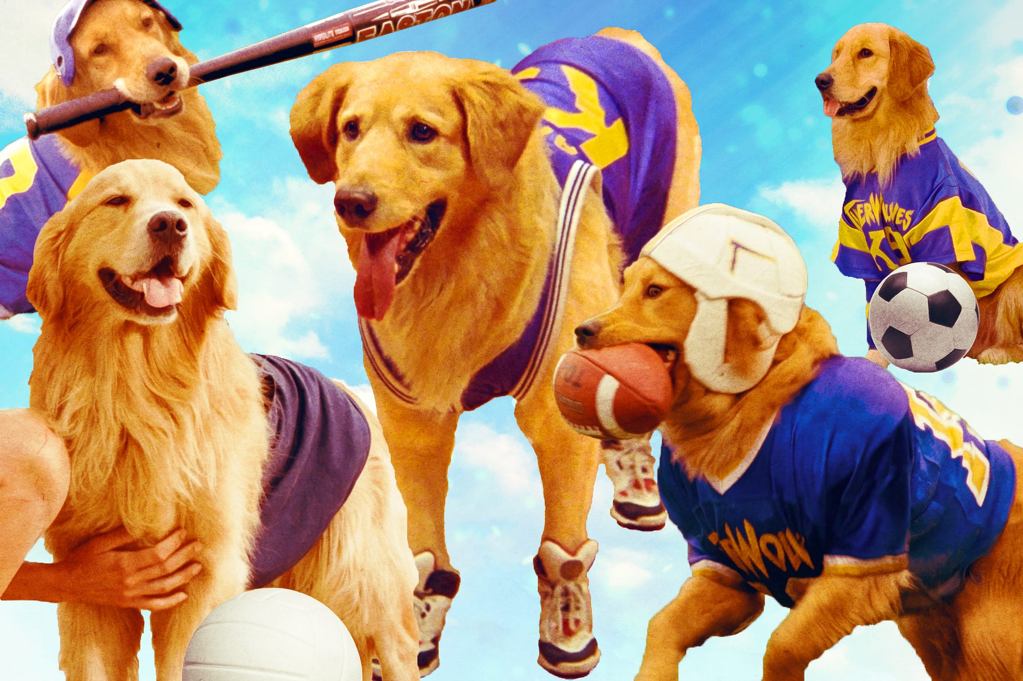 Could Air Bud Really Have Been One Of The Greatest Multisport Athletes