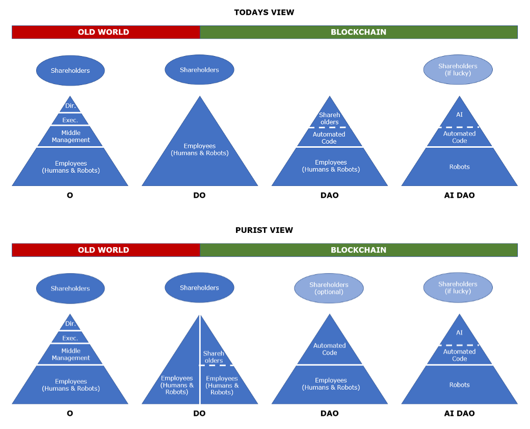 The Organizations of the New World Superblocks Medium