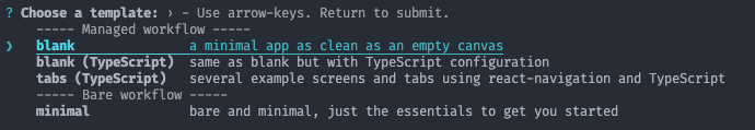choose template expo project