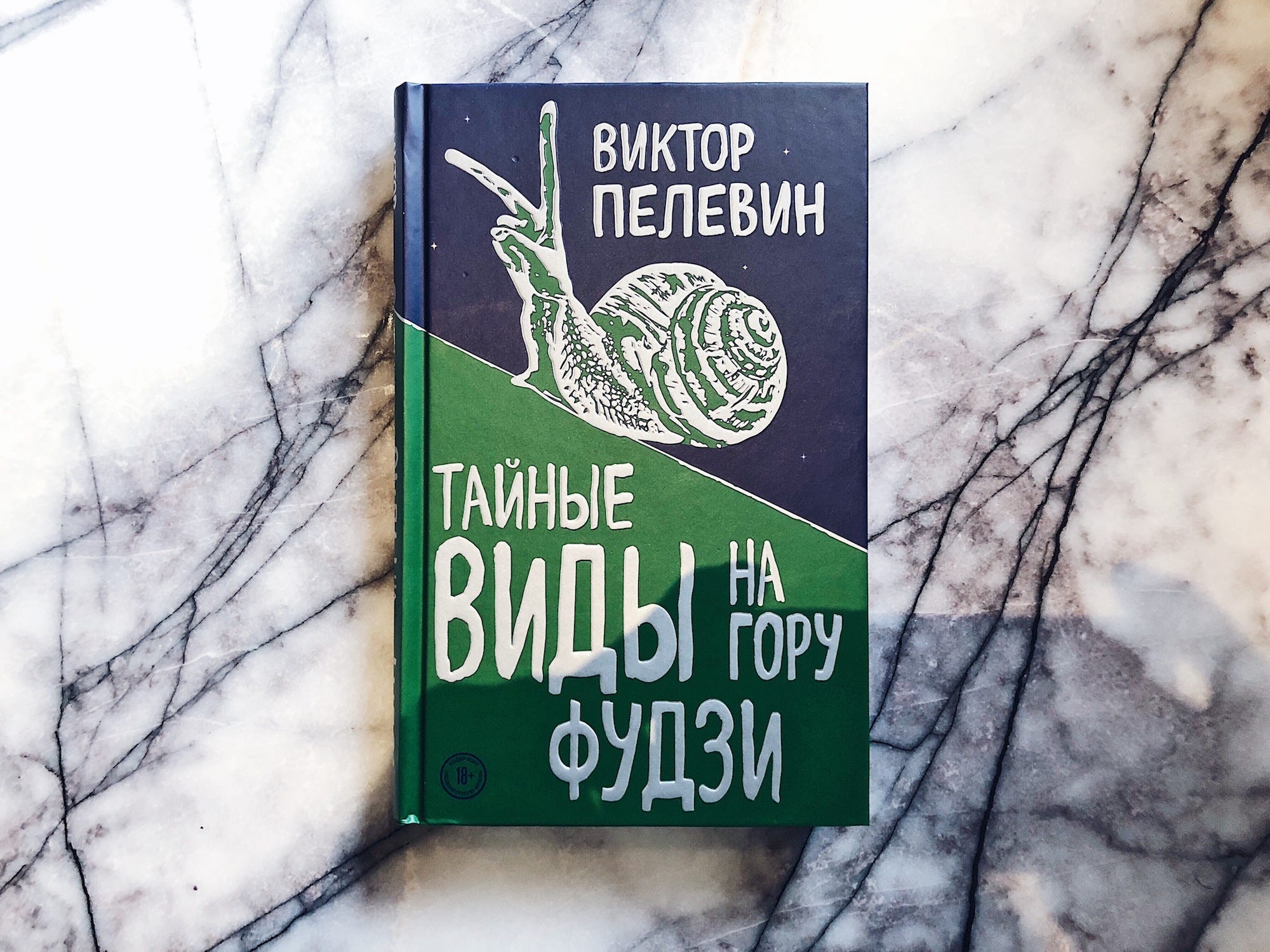 тайные виды на гору фудзи аудиокнига