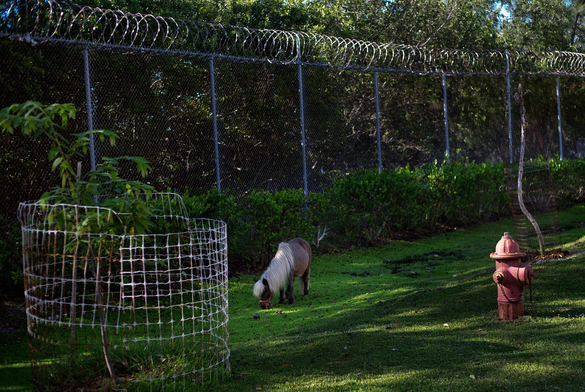 In Photos: The Florida Jail that Doubles as an Exotic Animal Zoo