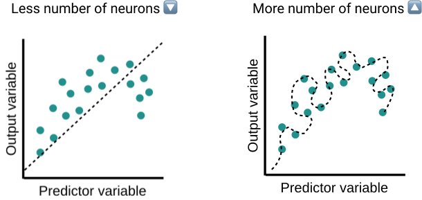 Do the number of neurons matter?