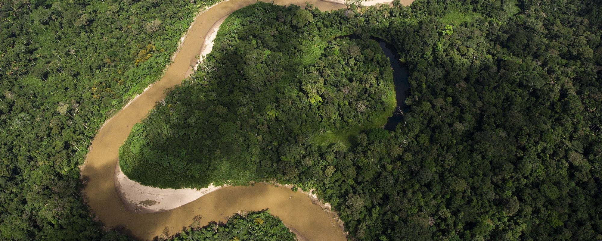 I Am Amazon Discover your connection to the rainforest with Google Earth