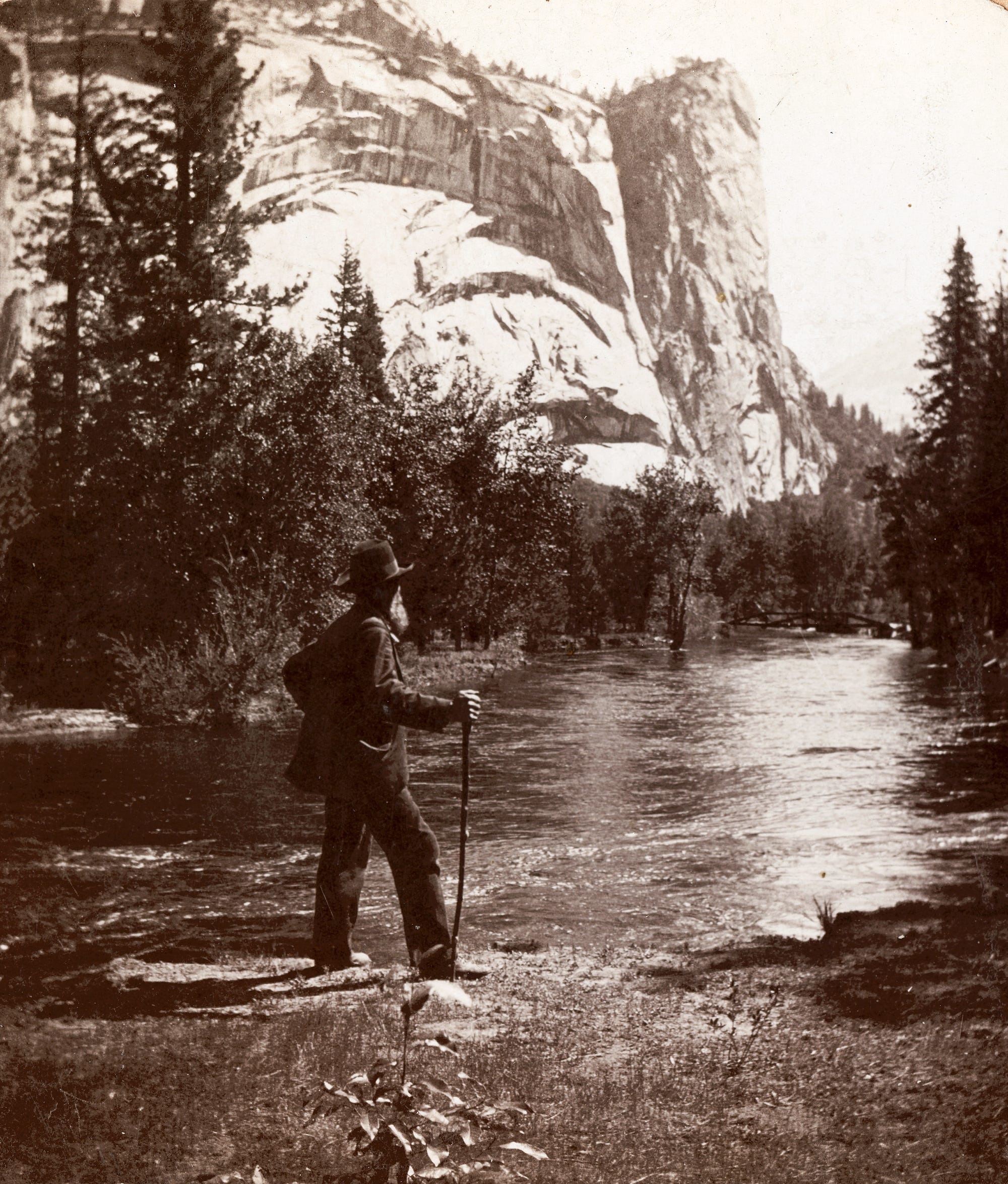 Exploring David Muir And His Wife'S Journey: A Must Read - swk78wt