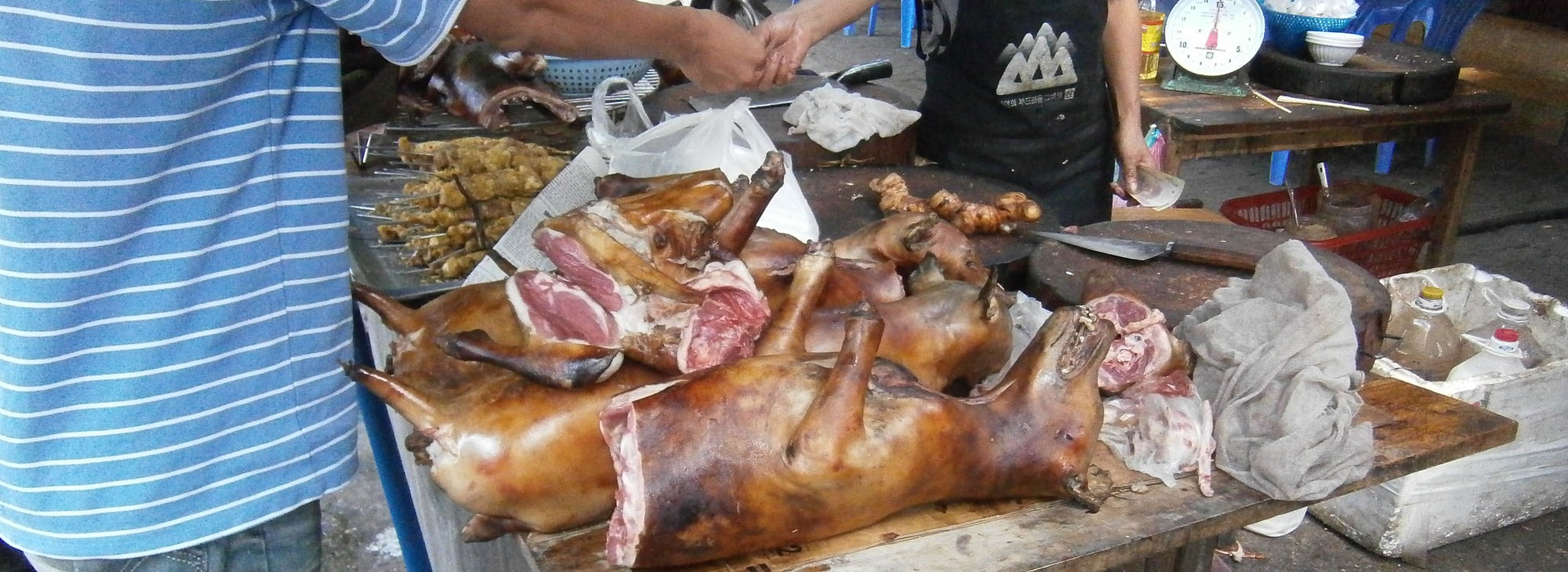 Deep Fried Dog and Bats Skinned Alive Should you put Your Ethics on