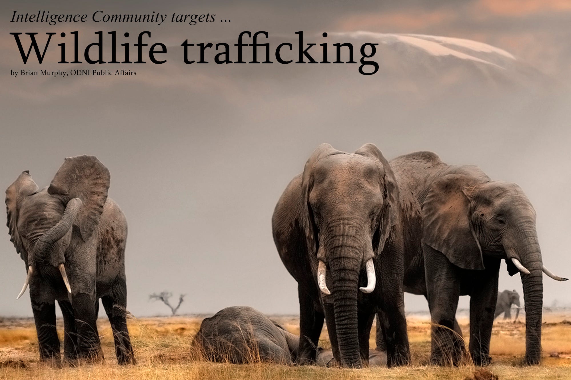 Intelligence Community Targets Wildlife Trafficking