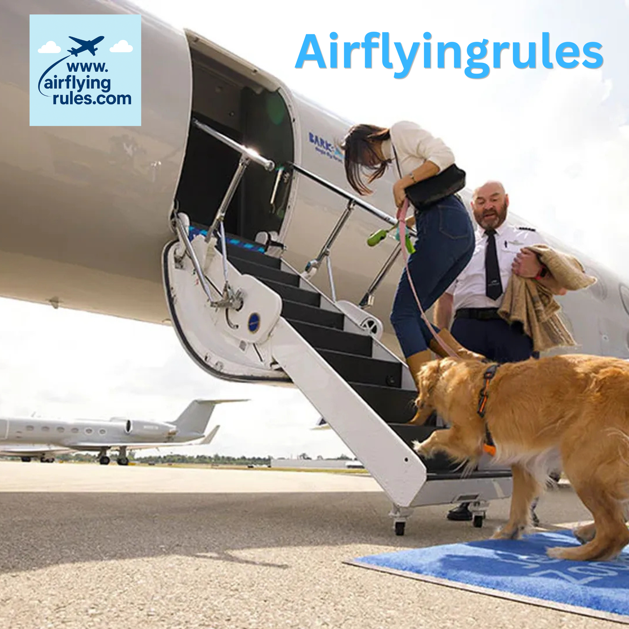 Traveling with Pet Flight Rules:guidelines 2026